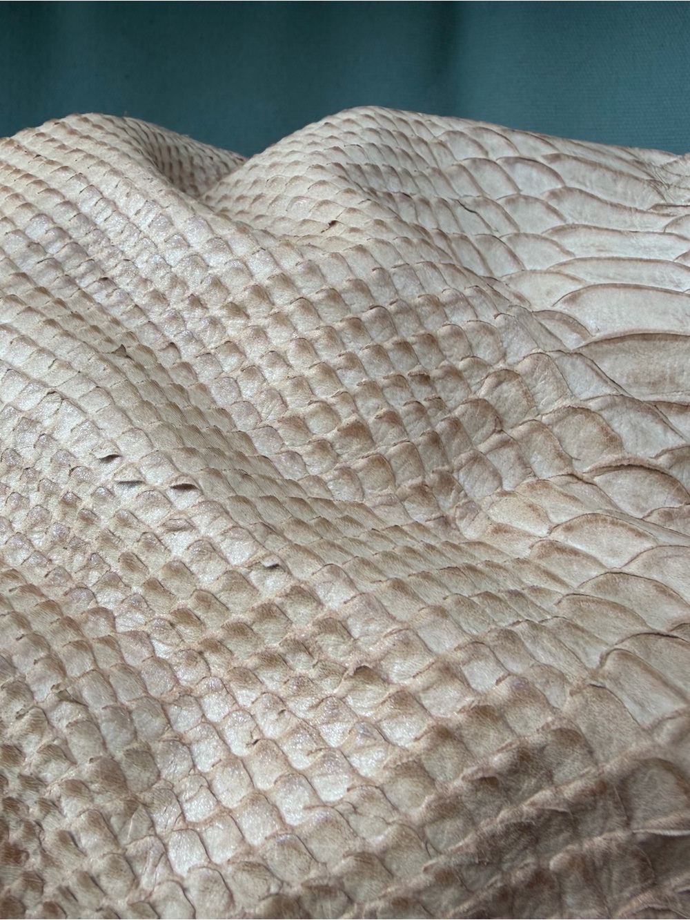Coach Beige Python-Embossed Leather Shoulder Hobo - Picture 12 of 13